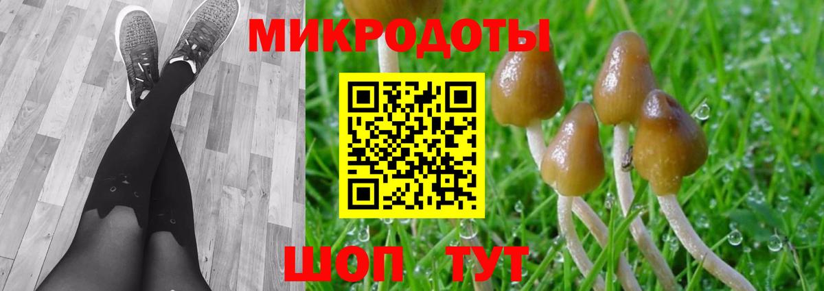 Псилоцибиновые грибы мухоморы Сургут